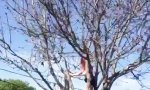 Lustiges Video : Seltenes Pinkfell-Eichhörnchen gesichtet                 