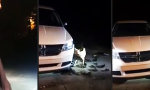 Funny Video : Katze versteckt sich vor Pitbull unter’m Auto