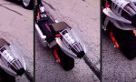 Lustiges Video : Scooter dreht auf