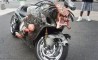 Fun Pic - Donnerstags Fun PicDump #32 - 113