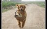 Fun Pic - Donnerstags Fun PicDump #32 - 29
