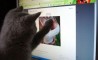 Fun Pic - Donnerstags Fun PicDump #38 - 39