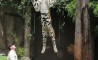 Fun Pic - Donnerstags Fun PicDump #38 - 79