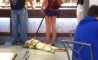 Fun Pic - Donnerstags Fun PicDump #65 - 114