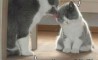 Fun Pic - Donnerstags Fun PicDump #65 - 118