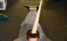 Fun Pic - Donnerstags Fun PicDump #65 - 134