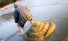 Fun Pic - Donnerstags Fun PicDump #71 - 105