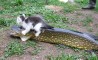 Fun Pic - Donnerstags Fun PicDump #81 - 125