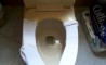 Fun Pic - Donnerstags Fun PicDump #81 - 37
