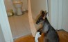 Fun Pic - Donnerstags Fun PicDump #81 - 73