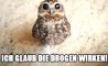 Fun Pic - Donnerstags Fun PicDump #102 - 41