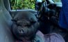 Fun Pic - Donnerstags Fun PicDump #105 - 101