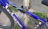 Fun Pic - Donnerstags Fun PicDump #109 - 111