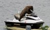 Fun Pic - Donnerstags Fun PicDump #109 - 15