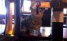 Fun Pic - Donnerstags Fun PicDump #109 - 71