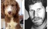 Fun Pic - Donnerstags Fun PicDump #109 - 87