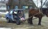 Fun Pic - Donnerstags Fun PicDump #109 - 91