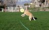 Fun Pic - Donnerstags Fun PicDump #114 - 14