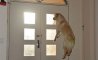 Fun Pic - Donnerstags Fun PicDump #114 - 82