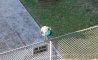 Fun Pic - Donnerstags Fun PicDump #119 - 78