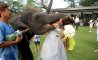 Fun Pic - Donnerstags Fun PicDump #119 - 9