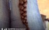 Fun Pic - Donnerstags Fun PicDump #120 - 36