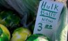 Fun Pic - Donnerstags Fun PicDump #120 - 60