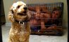 Fun Pic - Donnerstags Fun PicDump #120 - 68