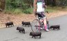 Fun Pic - Donnerstags Fun PicDump #123 - 117