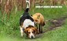 Fun Pic - Donnerstags Fun PicDump #123 - 25