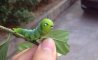 Fun Pic - Donnerstags Fun PicDump #123 - 69