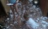 Fun Pic - Donnerstags Fun PicDump #125 - 20