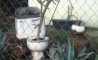 Fun Pic - Donnerstags Fun PicDump #125 - 40