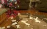 Fun Pic - Donnerstags Fun PicDump #130 - 72