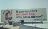 Fun Pic - Donnerstags Fun PicDump #131 - 51