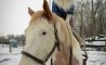 Fun Pic - Donnerstags Fun PicDump #131 - 79