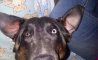 Fun Pic - Donnerstags Fun PicDump #136 - 103
