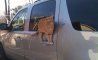 Fun Pic - Donnerstags Fun PicDump #139 - 41