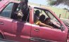 Fun Pic - Donnerstags Fun PicDump #139 - 57