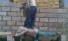 Fun Pic - Donnerstags Fun PicDump #141 - 119