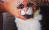 Fun Pic - Donnerstags Fun PicDump #141 - 67