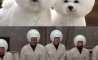 Fun Pic - Donnerstags Fun PicDump #141 - 79