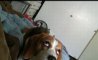 Fun Pic - Donnerstags Fun PicDump #142 - 11