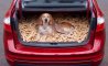 Fun Pic - Donnerstags Fun PicDump #142 - 36