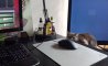 Fun Pic - Donnerstags Fun PicDump #142 - 59