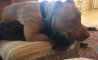 Fun Pic - Donnerstags Fun PicDump #142 - 67
