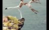 Fun Pic - Donnerstags Fun PicDump #142 - 88