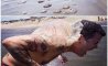 Fun Pic - Donnerstags Fun PicDump #143 - 8