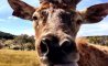 Fun Pic - Donnerstags Fun PicDump #148 - 113