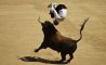 Fun Pic - Donnerstags Fun PicDump #148 - 137